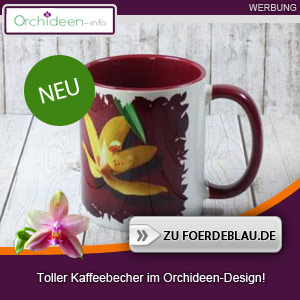 Roter Kaffeebecher im Orchideen-Design