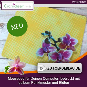 Gelbes Orchideen Mousepad mit Punkten